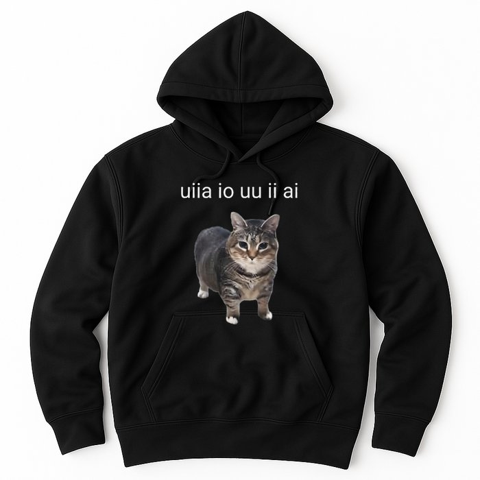 Uiia Cat I Wake Up I Engage In Tomfoolery Hoodie