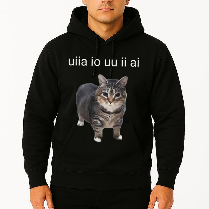 Uiia Cat I Wake Up I Engage In Tomfoolery Hoodie