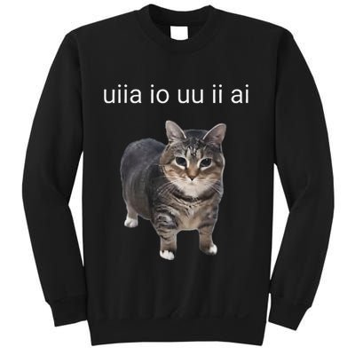 Uiia Cat I Wake Up I Engage In Tomfoolery Sweatshirt