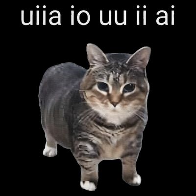 Uiia Cat I Wake Up I Engage In Tomfoolery T-Shirt