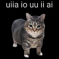 Uiia Cat I Wake Up I Engage In Tomfoolery Daily Commute Backpack