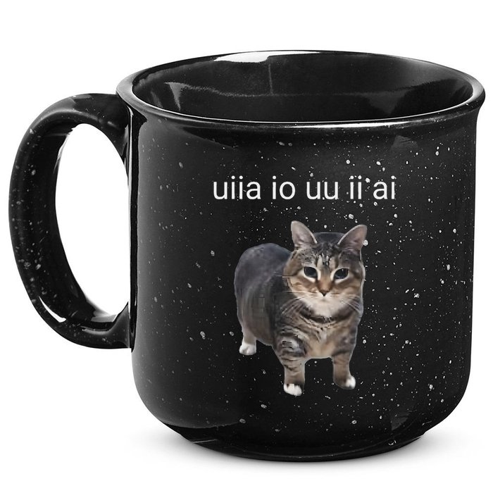 Uiia Cat I Wake Up I Engage In Tomfoolery 15oz Campfire Ceramic Mug