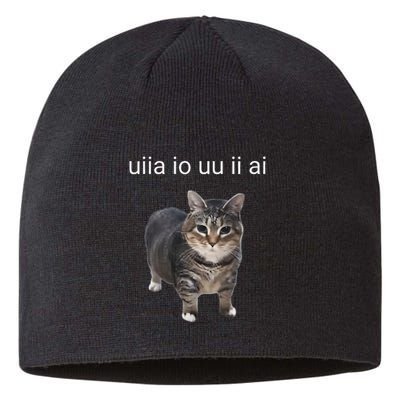 Uiia Cat I Wake Up I Engage In Tomfoolery Sustainable Beanie