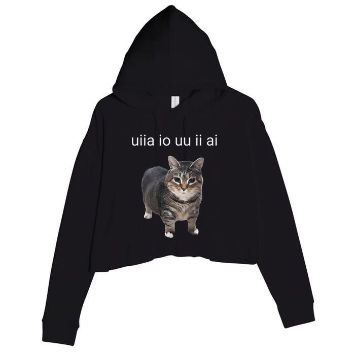 Uiia Cat I Wake Up I Engage In Tomfoolery Crop Fleece Hoodie
