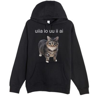Uiia Cat I Wake Up I Engage In Tomfoolery Premium Pullover Hoodie