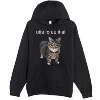 Uiia Cat I Wake Up I Engage In Tomfoolery Premium Pullover Hoodie