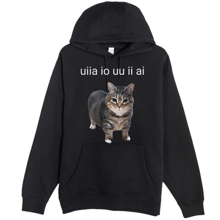 Uiia Cat I Wake Up I Engage In Tomfoolery Premium Pullover Hoodie