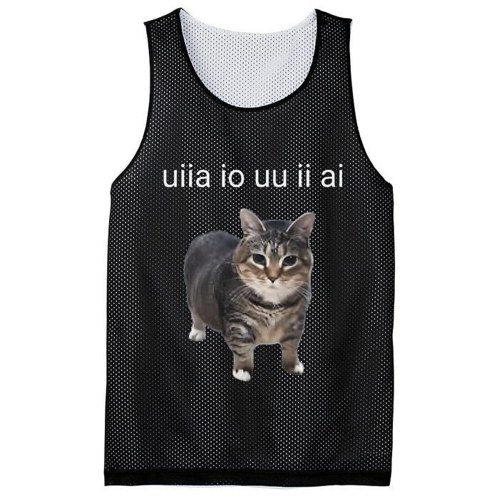 Uiia Cat I Wake Up I Engage In Tomfoolery Mesh Reversible Basketball Jersey Tank