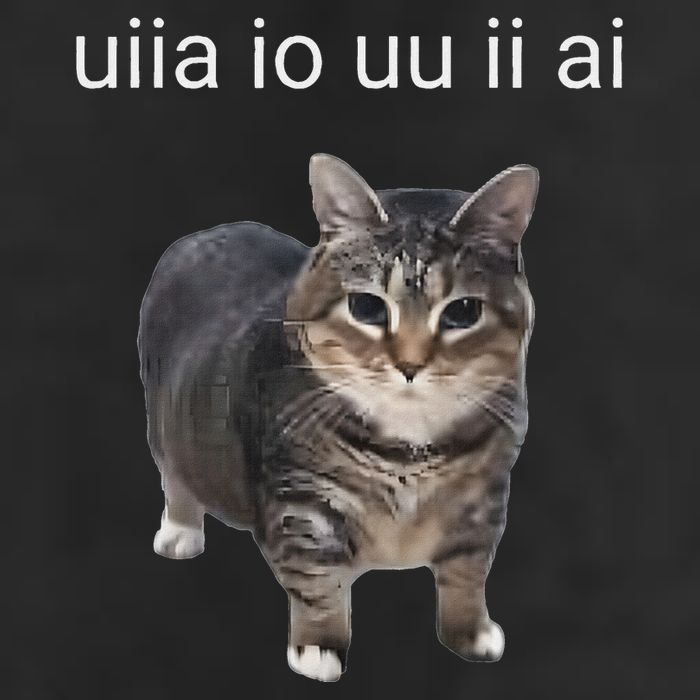 Uiia Cat I Wake Up I Engage In Tomfoolery Tumbler