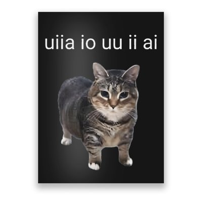 Uiia Cat I Wake Up I Engage In Tomfoolery Poster