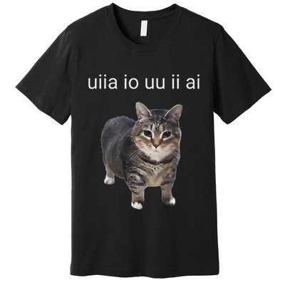 Uiia Cat I Wake Up I Engage In Tomfoolery Premium T-Shirt