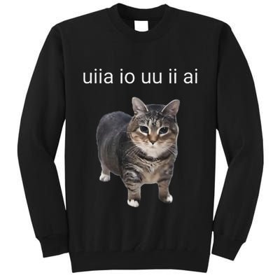 Uiia Cat I Wake Up I Engage In Tomfoolery Tall Sweatshirt