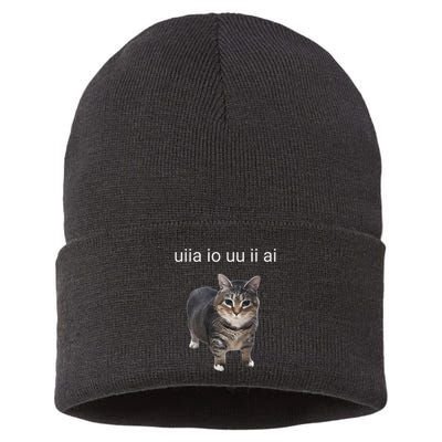 Uiia Cat I Wake Up I Engage In Tomfoolery Sustainable Knit Beanie