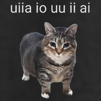 Uiia Cat I Wake Up I Engage In Tomfoolery 25L Jumbo Tote