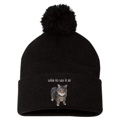 Uiia Cat I Wake Up I Engage In Tomfoolery Pom Pom 12in Knit Beanie