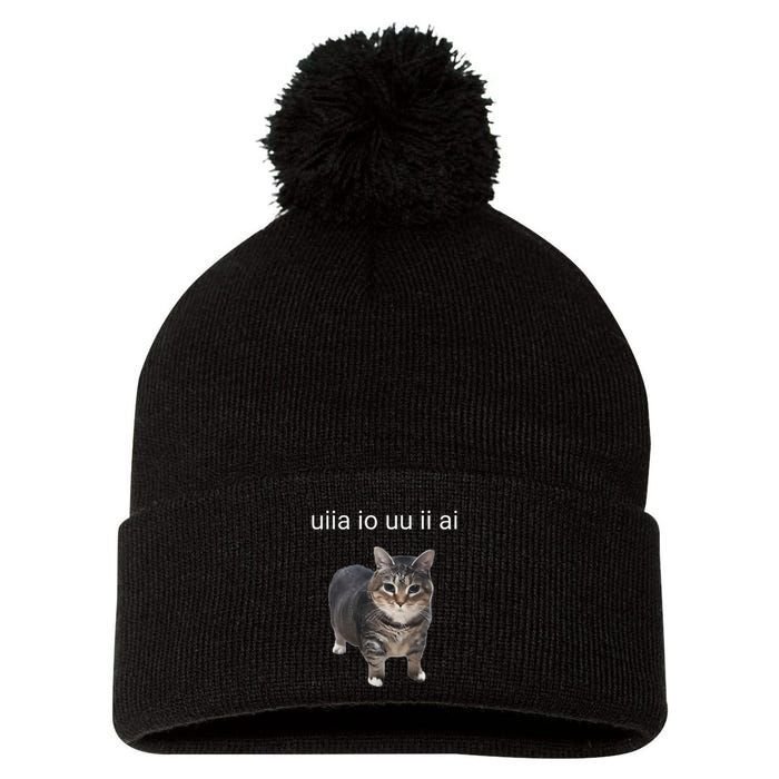 Uiia Cat I Wake Up I Engage In Tomfoolery Pom Pom 12in Knit Beanie