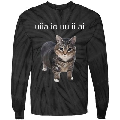 Uiia Cat I Wake Up I Engage In Tomfoolery Tie-Dye Long Sleeve Shirt
