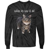 Uiia Cat I Wake Up I Engage In Tomfoolery Tie-Dye Long Sleeve Shirt