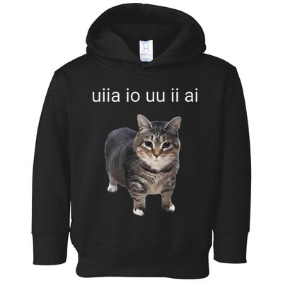 Uiia Cat I Wake Up I Engage In Tomfoolery Toddler Hoodie