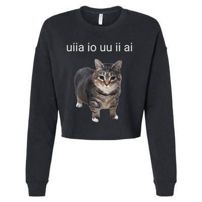Uiia Cat I Wake Up I Engage In Tomfoolery Cropped Pullover Crew