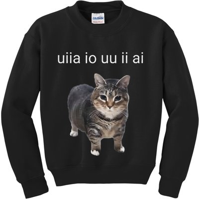 Uiia Cat I Wake Up I Engage In Tomfoolery Kids Sweatshirt