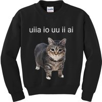 Uiia Cat I Wake Up I Engage In Tomfoolery Kids Sweatshirt