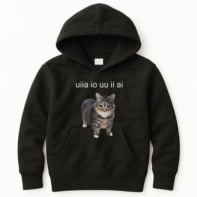 Uiia Cat I Wake Up I Engage In Tomfoolery Kids Hoodie