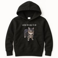 Uiia Cat I Wake Up I Engage In Tomfoolery Kids Hoodie