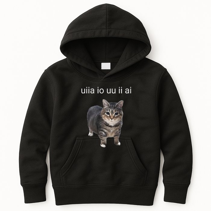 Uiia Cat I Wake Up I Engage In Tomfoolery Kids Hoodie