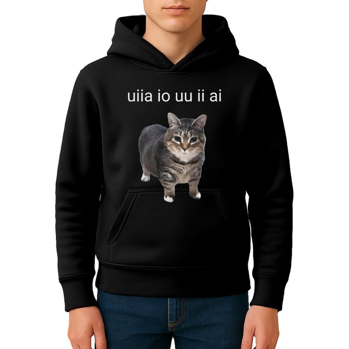 Uiia Cat I Wake Up I Engage In Tomfoolery Kids Hoodie