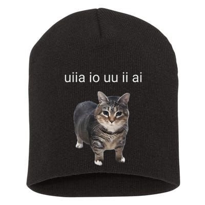 Uiia Cat I Wake Up I Engage In Tomfoolery Short Acrylic Beanie