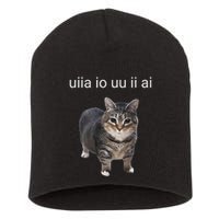 Uiia Cat I Wake Up I Engage In Tomfoolery Short Acrylic Beanie