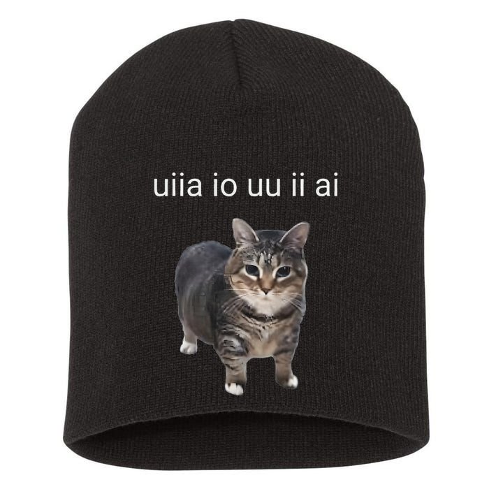 Uiia Cat I Wake Up I Engage In Tomfoolery Short Acrylic Beanie