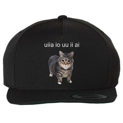 Uiia Cat I Wake Up I Engage In Tomfoolery Wool Snapback Cap
