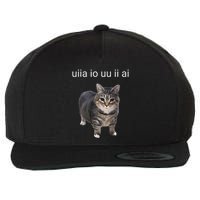 Uiia Cat I Wake Up I Engage In Tomfoolery Wool Snapback Cap