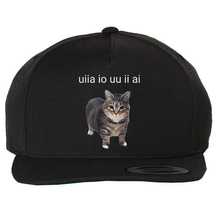 Uiia Cat I Wake Up I Engage In Tomfoolery Wool Snapback Cap