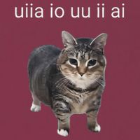 Uiia Cat I Wake Up I Engage In Tomfoolery 16oz Travel Tumbler