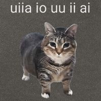 Uiia Cat I Wake Up I Engage In Tomfoolery Cotton Canvas Backpack