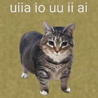 Uiia Cat I Wake Up I Engage In Tomfoolery Garment-Dyed Women's Muscle Tee
