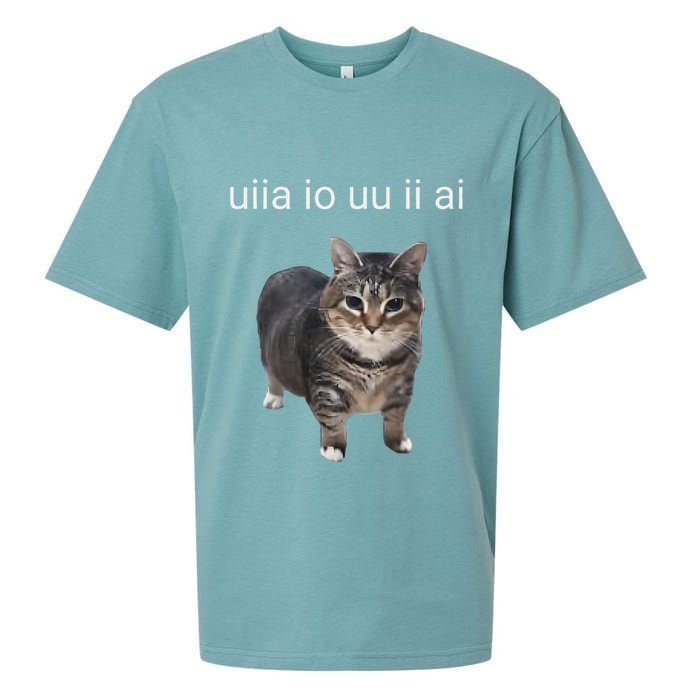Uiia Cat I Wake Up I Engage In Tomfoolery Sueded Cloud Jersey T-Shirt