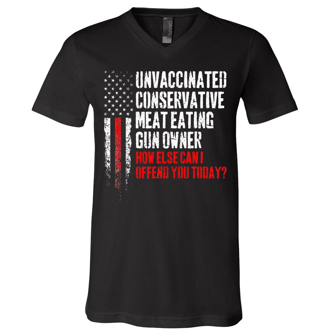 Unvaccinated Conservative Meat Eating Gun Owner V-Neck T-Shirt