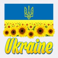 Ukraine Coat Of Arms Flag Blue Sky Field Of Sunflowers Wool Snapback Cap