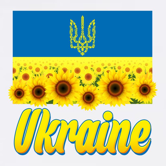 Ukraine Coat Of Arms Flag Blue Sky Field Of Sunflowers Wool Snapback Cap