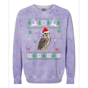 Ugly Christmas Owl Lover Santa Hat Animals Gift Colorblast Crewneck Sweatshirt