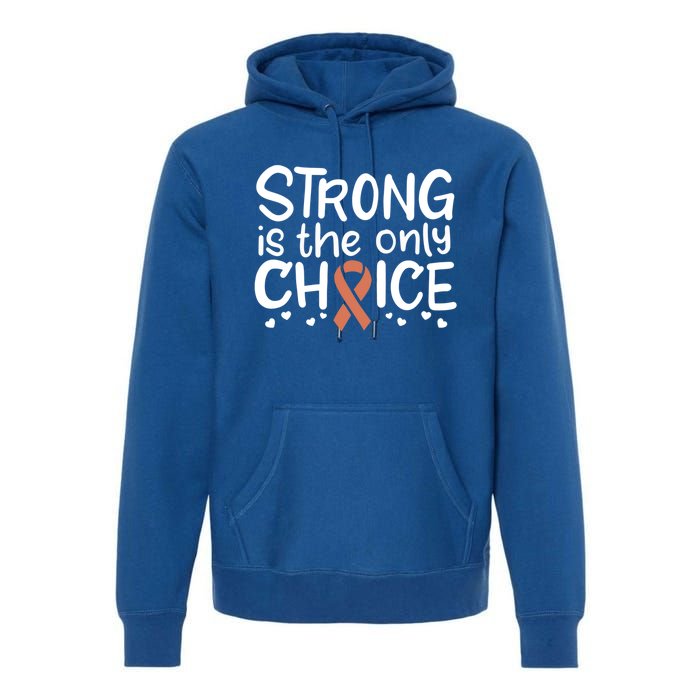 Uterine Cancer Survivor Fight Endometrial Chemo Gift Ribbon Funny Gift Premium Hoodie