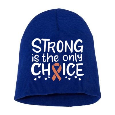 Uterine Cancer Survivor Fight Endometrial Chemo Gift Ribbon Funny Gift Short Acrylic Beanie