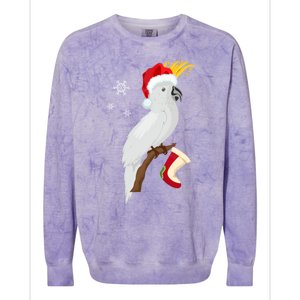 Umbrella Cockatoo Santa Hat Funny Christmas Colorblast Crewneck Sweatshirt