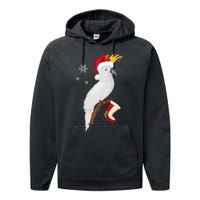 Umbrella Cockatoo Santa Hat Funny Christmas Performance Fleece Hoodie