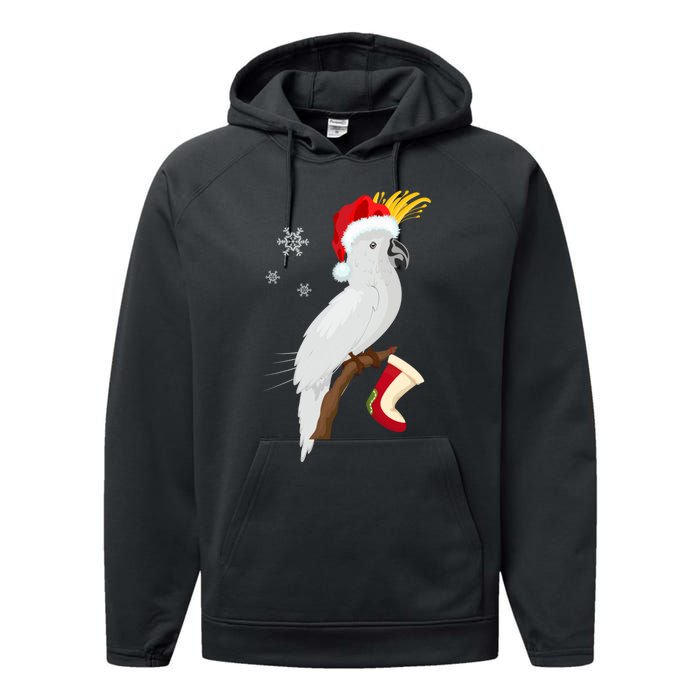 Umbrella Cockatoo Santa Hat Funny Christmas Performance Fleece Hoodie