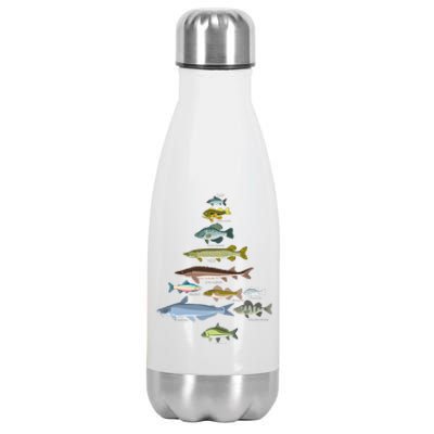 Unique Christmas Tree Decorations Freshwater Fish Species Ornament Stainless Steel Insulated Water Bottle